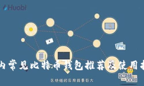 国内常见比特币钱包推荐及使用指南
