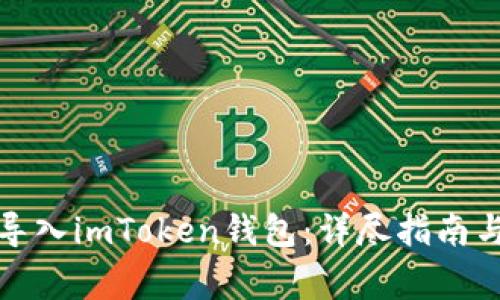 如何通过视频导入imToken钱包：详尽指南与常见问题解答