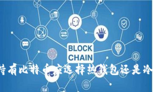 长期持有比特币应选择热钱包还是冷钱包？