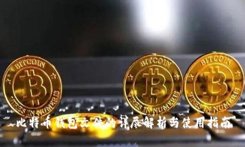 比特币钱包文件的详尽解析与使用指南