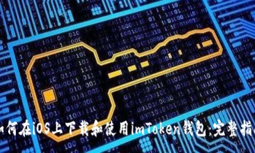 :
如何在iOS上下载和使用imToken钱包：完整指南