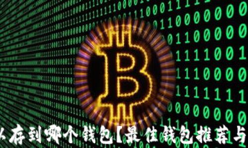
USDT可以存到哪个钱包？最佳钱包推荐与使用指南