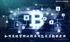 如何高效管理比特币钱包