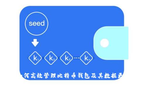 如何高效管理比特币钱包及其数据更新