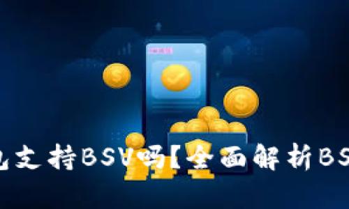 imToken钱包支持BSV吗？全面解析BSV存储与交易