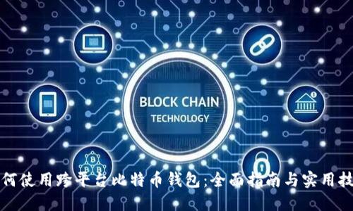 如何使用跨平台比特币钱包：全面指南与实用技巧