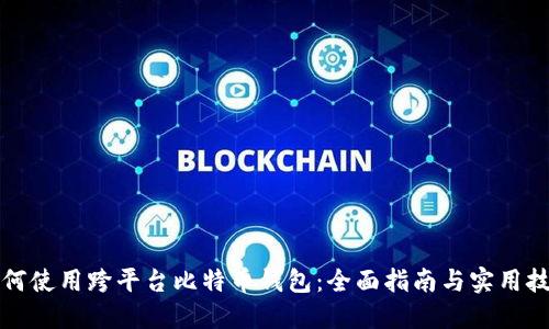 如何使用跨平台比特币钱包：全面指南与实用技巧