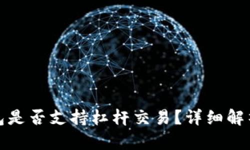 ImToken钱包是否支持杠杆交易？详细解析与使用指南