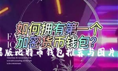 苹果版比特币钱包推荐与图片详解