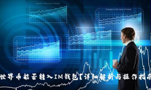 世界币能否转入IM钱包？详细解析与操作指南