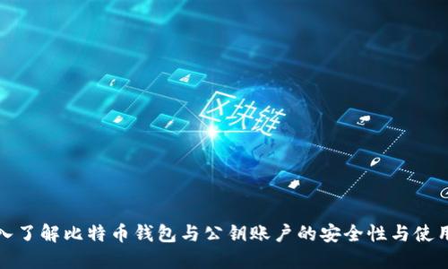 : 深入了解比特币钱包与公钥账户的安全性与使用指南