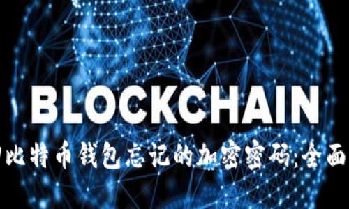 如何找回比特币钱包忘记的加密密码：全面解决方案
