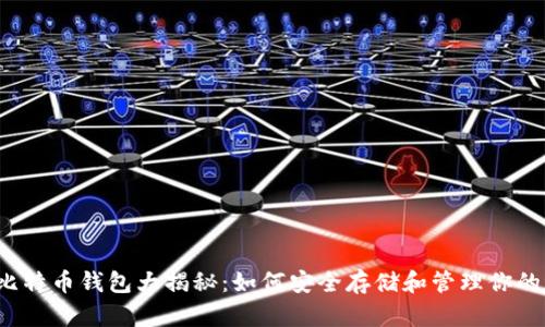 2011年比特币钱包大揭秘：如何安全存储和管理你的加密资产