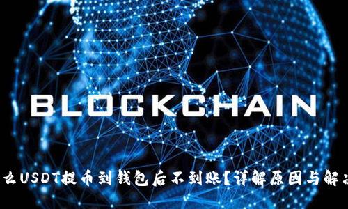  为什么USDT提币到钱包后不到账？详解原因与解决方案