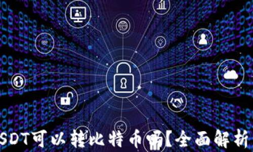 
火币钱包USDT可以转比特币吗？全面解析与操作指南