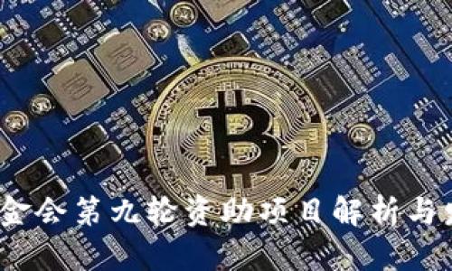 Web3基金会第九轮资助项目解析与发展趋势