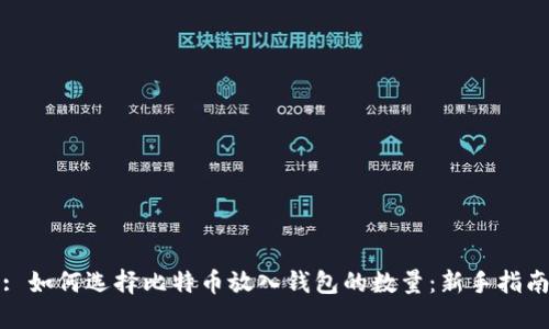 : 如何选择比特币放入钱包的数量：新手指南