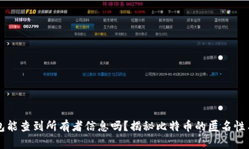比特币钱包能查到所有者信息吗？揭秘比特币的匿名性与追踪能力