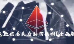 : imToken钱包数据丢失后如