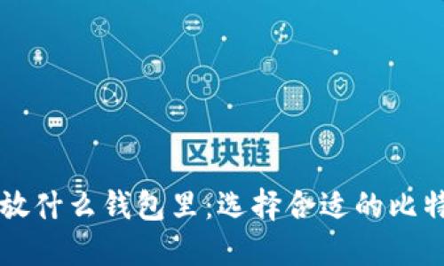 买了比特币放什么钱包里：选择合适的比特币钱包指南