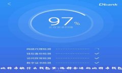 买了比特币放什么钱包里