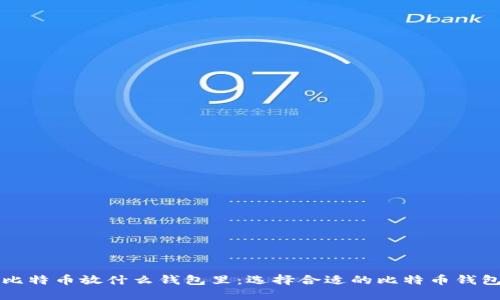 买了比特币放什么钱包里：选择合适的比特币钱包指南