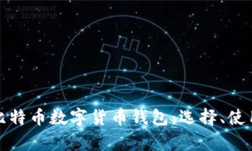 全面解析比特币数字货币钱包：选择、使用与安全性