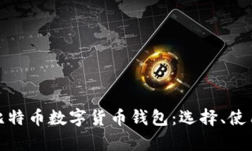 全面解析比特币数字货币钱包：选择、使用与安全性