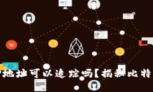 比特币钱包IP地址可以追踪吗？揭秘比特币隐私与安全