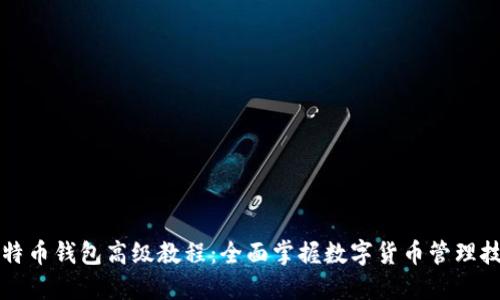 比特币钱包高级教程：全面掌握数字货币管理技巧