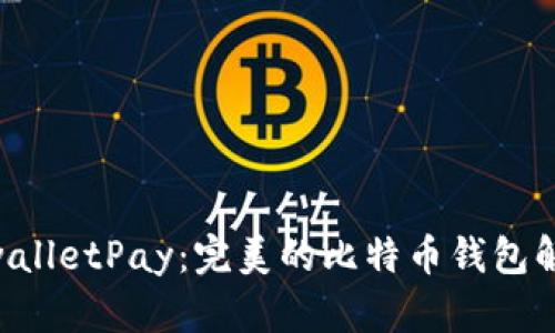 InstawalletPay：完美的比特币钱包解决方案