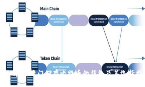 全面解析：专门储存比特币的钱包及其选择指南
