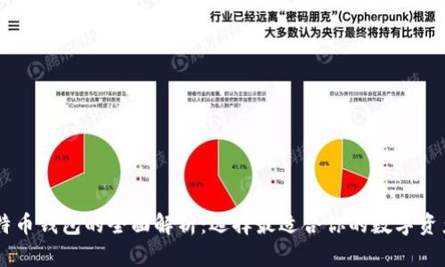 币安与比特币钱包的全面解析：选择最适合你的数字资产管理方式