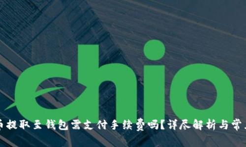 比特币提取至钱包需支付手续费吗？详尽解析与常见问题