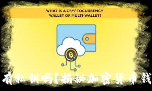   
比特币钱包没有私钥吗？揭秘加密货币钱包的隐秘世界