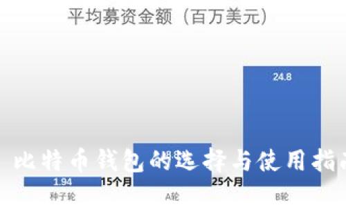 : 比特币钱包的选择与使用指南