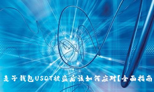 麦子钱包USDT被盗后该如何应对？全面指南
