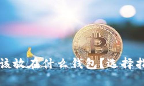 比特币应该放在什么钱包？选择指南与推荐