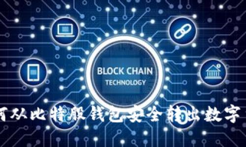 如何从比特股钱包安全转出数字货币