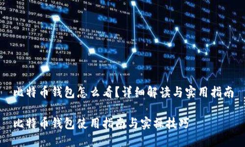 比特币钱包怎么看？详细解读与实用指南

比特币钱包使用指南与实操技巧
