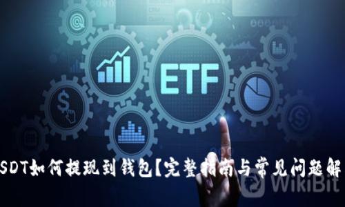 USDT如何提现到钱包？完整指南与常见问题解答