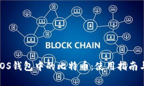 全面解析iOS钱包中的比特币：使用指南与功能介绍