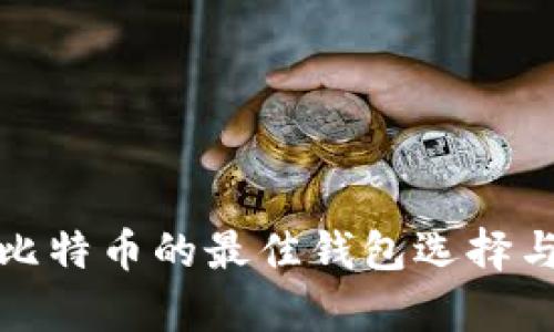安全存储比特币的最佳钱包选择与使用指南