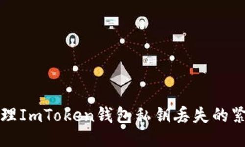 如何处理ImToken钱包私钥丢失的紧急指南