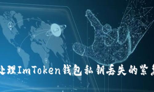 如何处理ImToken钱包私钥丢失的紧急指南