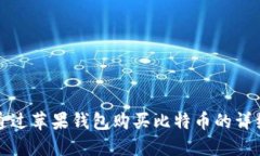 如何通过苹果钱包购买比