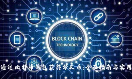 如何通过比特币钱包获得分叉币：全面指南与实用技巧