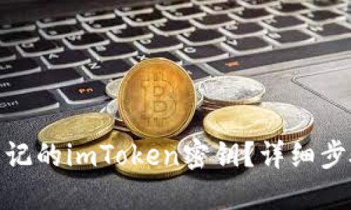: 如何找回忘记的imToken密钥？详细步骤与解决方案