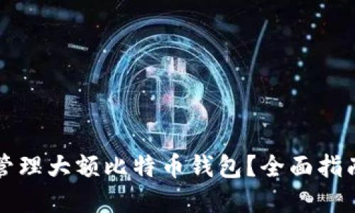 如何安全地管理大额比特币钱包?全面指南与最佳实践