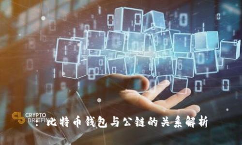 : 比特币钱包与公链的关系解析
